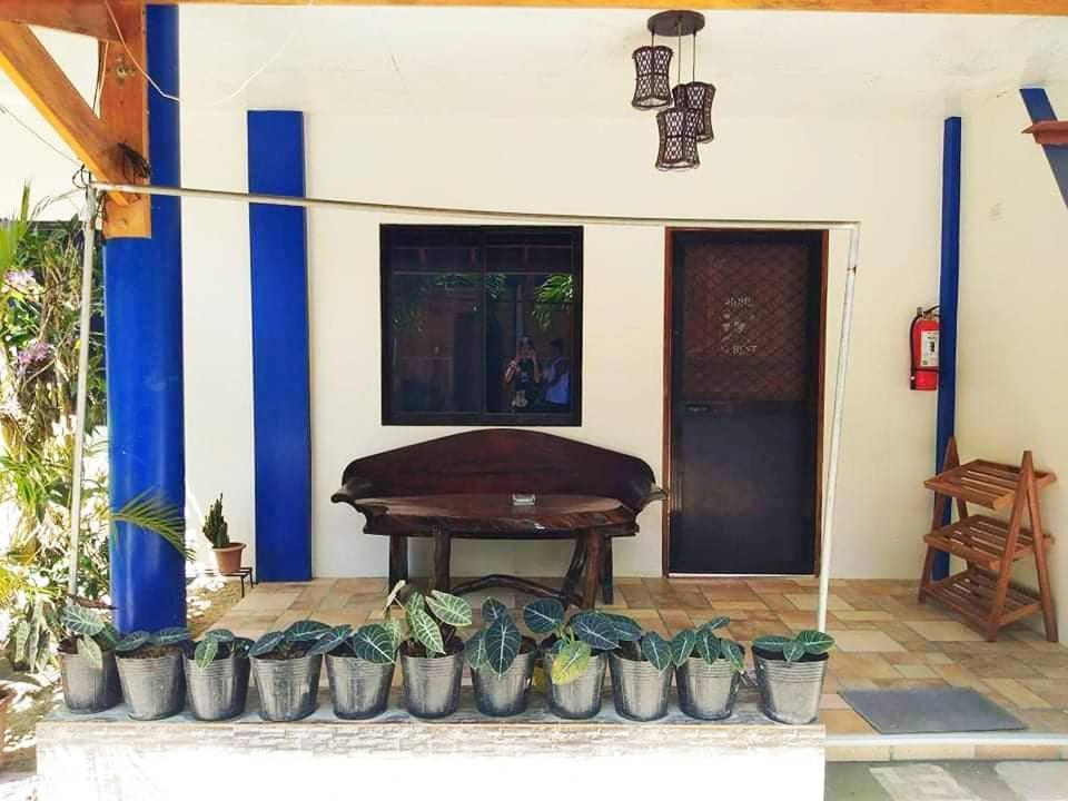 Foxtail Guesthouse Siargao 卢纳将军城 外观 照片